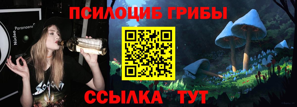 Галлюциногенные грибы Psilocybe Тверь